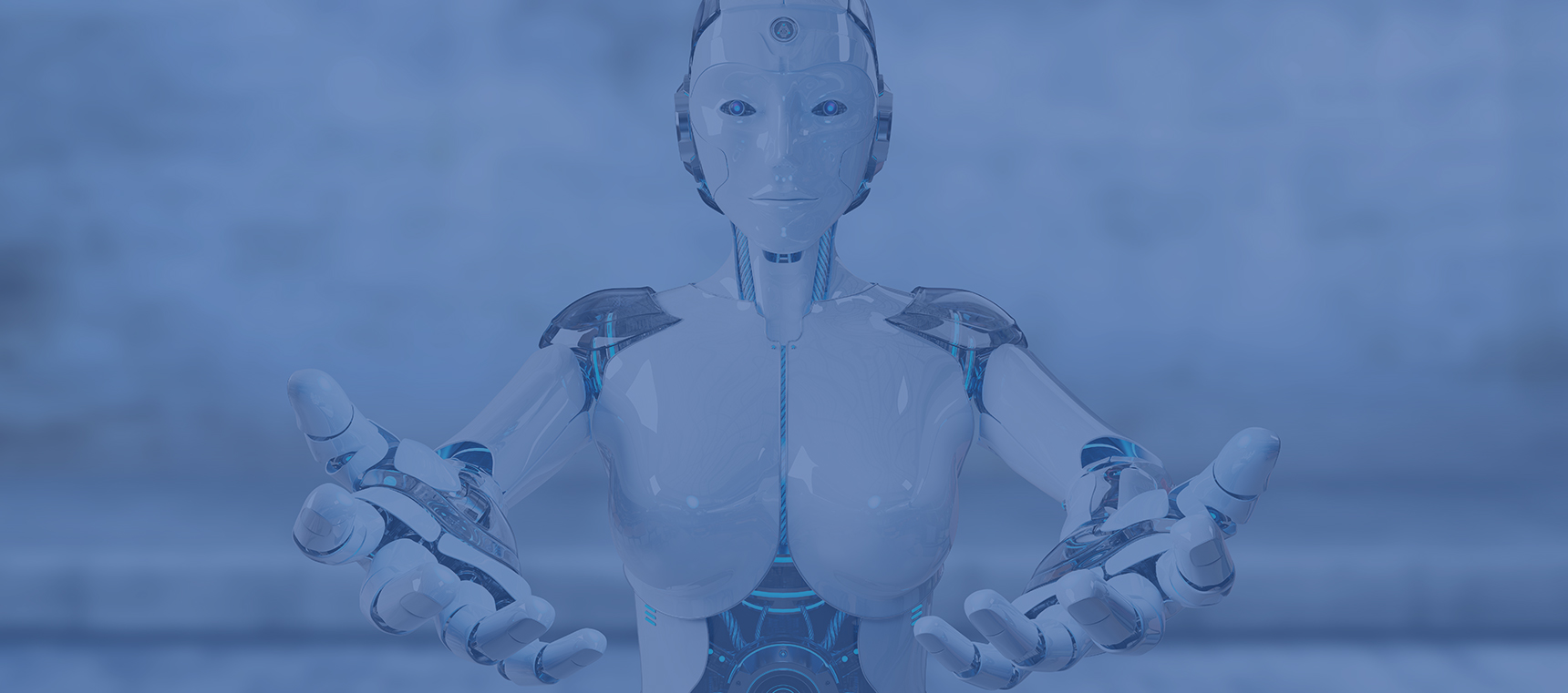 Robot